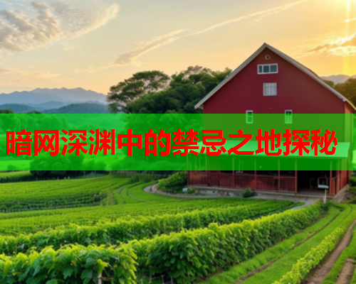 暗网深渊中的禁忌之地探秘 暗网深渊中的禁忌之地探秘