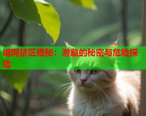 暗网禁区揭秘:潜藏的秘密与危险探险 暗网禁区揭秘:潜藏的秘密与危险探险