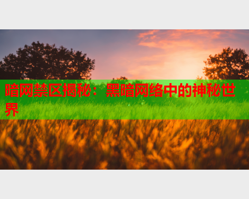 暗网禁区揭秘:黑暗网络中的神秘世界 暗网禁区揭秘:黑暗网络中的神秘世界