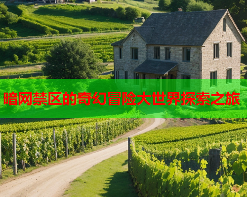 暗网禁区的奇幻冒险大世界探索之旅 暗网禁区的奇幻冒险大世界探索之旅