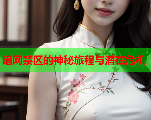 暗网禁区的神秘旅程与潜在危机 暗网禁区的神秘旅程与潜在危机