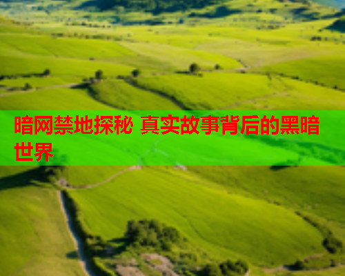 暗网禁地探秘 真实故事背后的黑暗世界 暗网禁地探秘 真实故事背后的黑暗世界