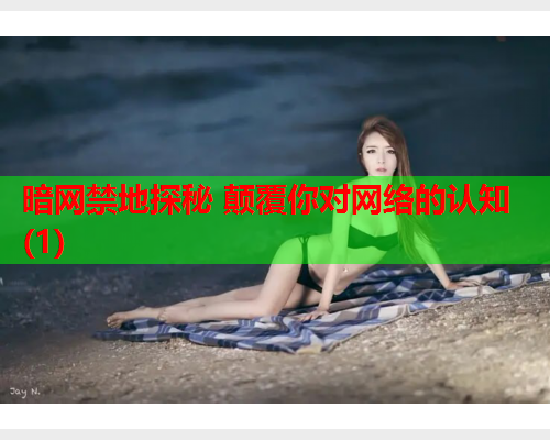暗网禁地探秘 颠覆你对网络的认知(1) 暗网禁地探秘 颠覆你对网络的认知(1)