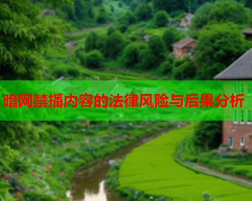 暗网禁播内容的法律风险与后果分析 暗网禁播内容的法律风险与后果分析
