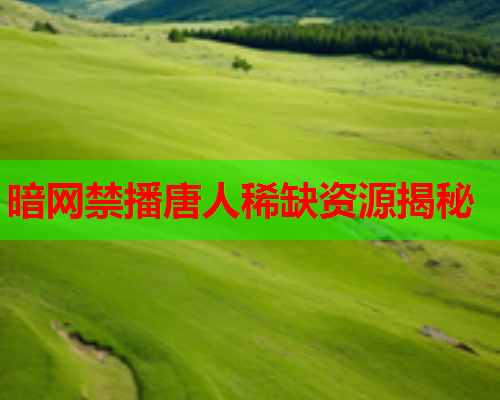 暗网禁播唐人稀缺资源揭秘 暗网禁播唐人稀缺资源揭秘