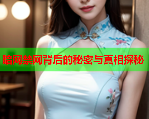 暗网禁网背后的秘密与真相探秘 暗网禁网背后的秘密与真相探秘