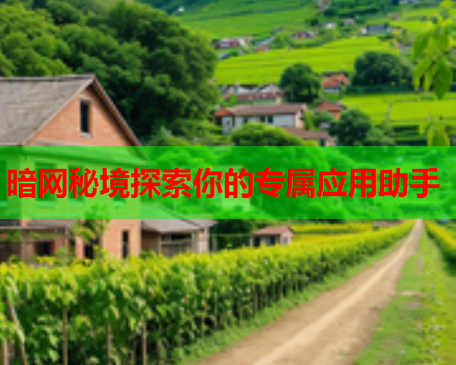 暗网秘境探索你的专属应用助手 暗网秘境探索你的专属应用助手