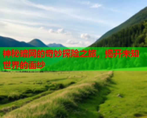 神秘暗网的奇妙探险之旅,揭开未知世界的面纱 神秘暗网的奇妙探险之旅,揭开未知世界的面纱