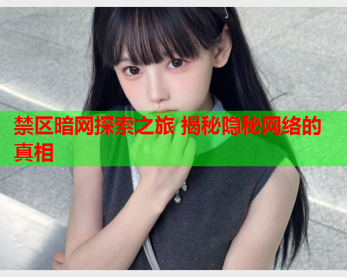 禁区暗网探索之旅 揭秘隐秘网络的真相 禁区暗网探索之旅 揭秘隐秘网络的真相