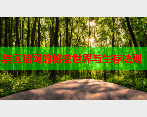 禁区暗网的秘密世界与生存法则 禁区暗网的秘密世界与生存法则