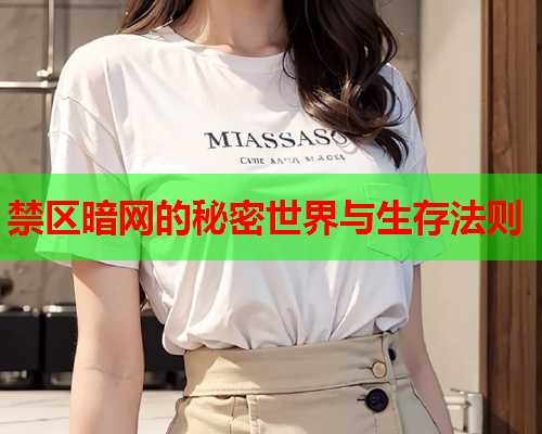 禁区暗网的秘密世界与生存法则 禁区暗网的秘密世界与生存法则