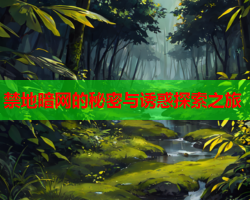 禁地暗网的秘密与诱惑探索之旅 禁地暗网的秘密与诱惑探索之旅