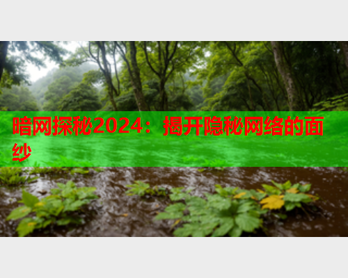 暗网探秘2024:揭开隐秘网络的面纱 暗网探秘2024:揭开隐秘网络的面纱