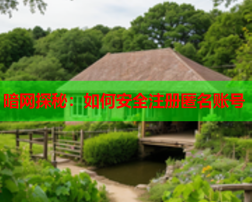 暗网探秘:如何安全注册匿名账号 暗网探秘:如何安全注册匿名账号