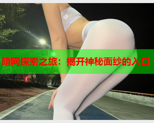 暗网探索之旅:揭开神秘面纱的入口 暗网探索之旅:揭开神秘面纱的入口