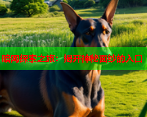 暗网探索之旅:揭开神秘面纱的入口 暗网探索之旅:揭开神秘面纱的入口