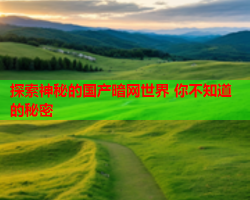 探索神秘的国产暗网世界 你不知道的秘密 探索神秘的国产暗网世界 你不知道的秘密