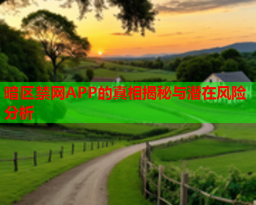 暗区禁网APP的真相揭秘与潜在风险分析 暗区禁网APP的真相揭秘与潜在风险分析