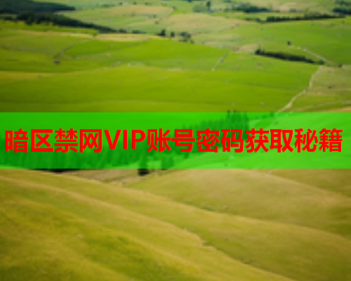 暗区禁网VIP账号密码获取秘籍 暗区禁网VIP账号密码获取秘籍