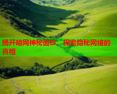 揭开暗网神秘面纱,探索隐秘网络的真相 揭开暗网神秘面纱,探索隐秘网络的真相