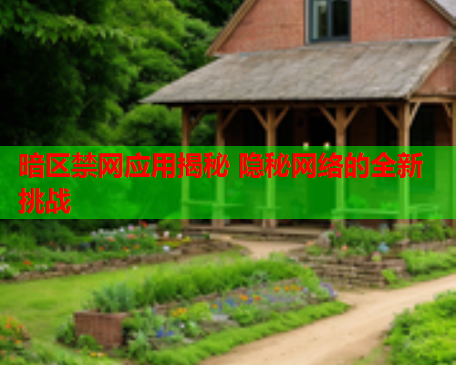 暗区禁网应用揭秘 隐秘网络的全新挑战 暗区禁网应用揭秘 隐秘网络的全新挑战