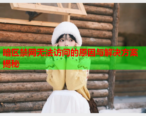 暗区禁网无法访问的原因与解决方案揭秘 暗区禁网无法访问的原因与解决方案揭秘