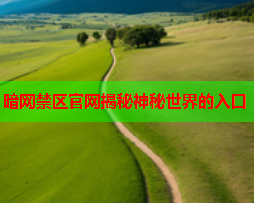 暗网禁区官网揭秘神秘世界的入口 暗网禁区官网揭秘神秘世界的入口