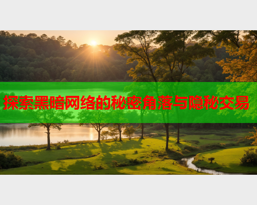 探索黑暗网络的秘密角落与隐秘交易 探索黑暗网络的秘密角落与隐秘交易