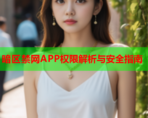 暗区禁网APP权限解析与安全指南 暗区禁网APP权限解析与安全指南