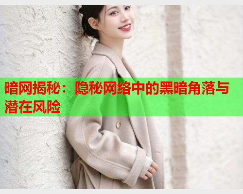 暗网揭秘:隐秘网络中的黑暗角落与潜在风险 暗网揭秘:隐秘网络中的黑暗角落与潜在风险