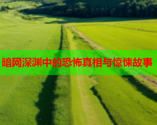暗网深渊中的恐怖真相与惊悚故事 暗网深渊中的恐怖真相与惊悚故事
