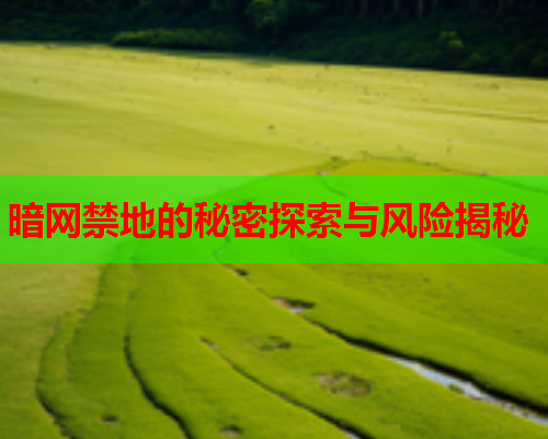 暗网禁地的秘密探索与风险揭秘 暗网禁地的秘密探索与风险揭秘