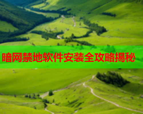 暗网禁地软件安装全攻略揭秘 暗网禁地软件安装全攻略揭秘