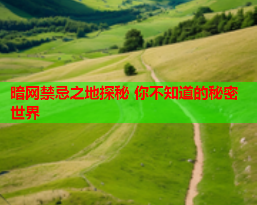 暗网禁忌之地探秘 你不知道的秘密世界 暗网禁忌之地探秘 你不知道的秘密世界