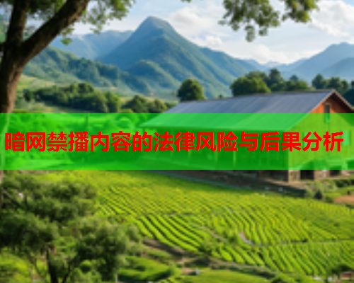 暗网禁播内容的法律风险与后果分析 暗网禁播内容的法律风险与后果分析