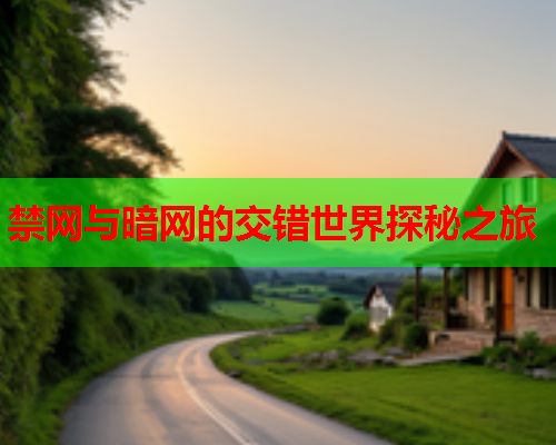禁网与暗网的交错世界探秘之旅 禁网与暗网的交错世界探秘之旅