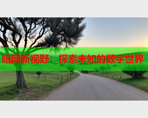 暗网新视野:探索未知的数字世界 暗网新视野:探索未知的数字世界