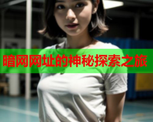 暗网网址的神秘探索之旅 暗网网址的神秘探索之旅