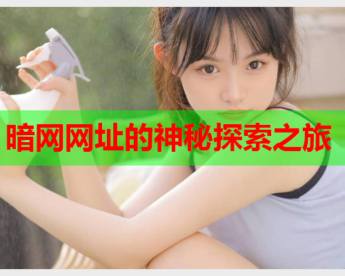 暗网网址的神秘探索之旅 暗网网址的神秘探索之旅