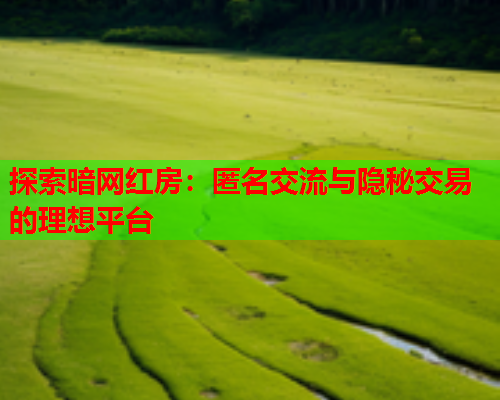 探索暗网红房:匿名交流与隐秘交易的理想平台 探索暗网红房:匿名交流与隐秘交易的理想平台