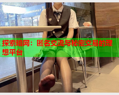 探索暗网:匿名交流与秘密交易的理想平台 探索暗网:匿名交流与秘密交易的理想平台