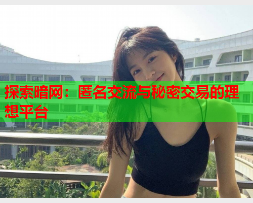 探索暗网:匿名交流与秘密交易的理想平台 探索暗网:匿名交流与秘密交易的理想平台