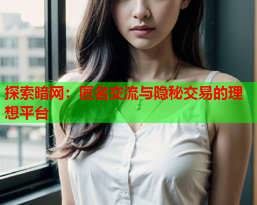 探索暗网:匿名交流与隐秘交易的理想平台 探索暗网:匿名交流与隐秘交易的理想平台