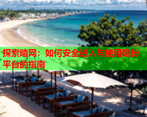 探索暗网:如何安全进入与使用隐秘平台的指南 探索暗网:如何安全进入与使用隐秘平台的指南