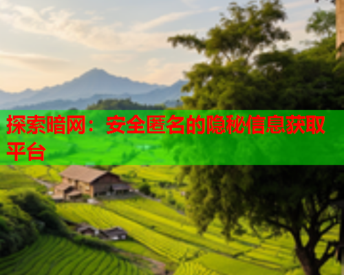 探索暗网:安全匿名的隐秘信息获取平台 探索暗网:安全匿名的隐秘信息获取平台