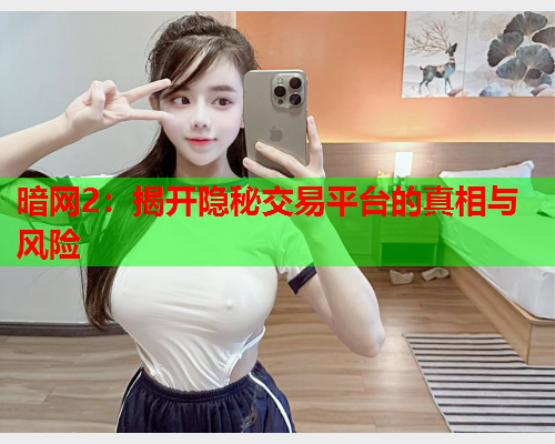 暗网2:揭开隐秘交易平台的真相与风险 暗网2:揭开隐秘交易平台的真相与风险