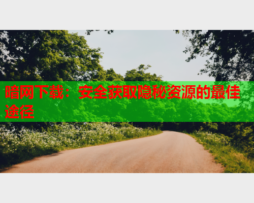 暗网下载:安全获取隐秘资源的最佳途径 暗网下载:安全获取隐秘资源的最佳途径