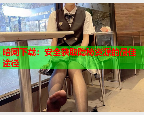 暗网下载:安全获取隐秘资源的最佳途径 暗网下载:安全获取隐秘资源的最佳途径