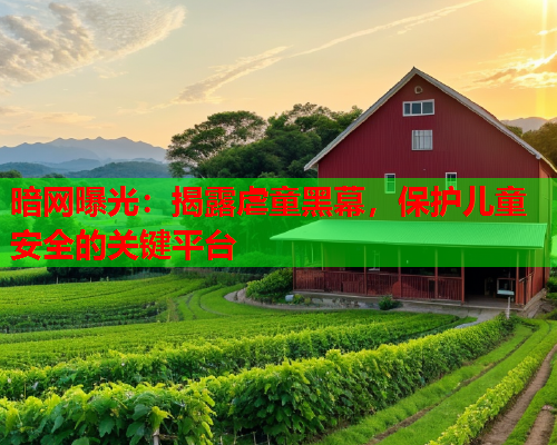 暗网曝光:揭露虐童黑幕,保护儿童安全的关键平台 暗网曝光:揭露虐童黑幕,保护儿童安全的关键平台