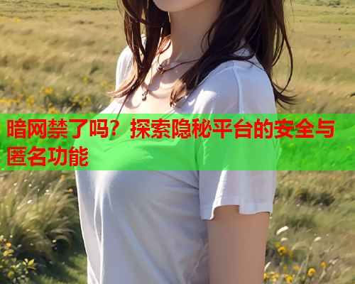 暗网禁了吗?探索隐秘平台的安全与匿名功能 暗网禁了吗?探索隐秘平台的安全与匿名功能